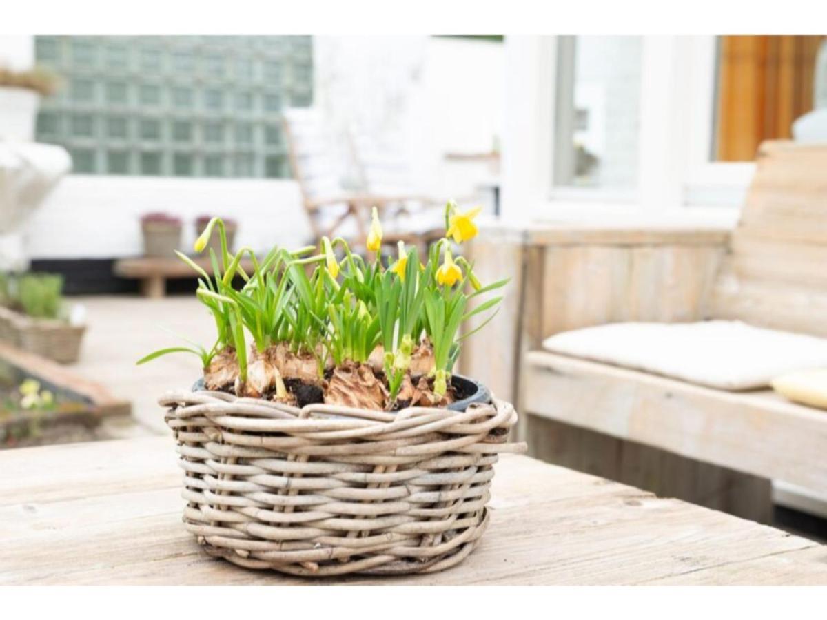 Quiet Location Yet Close To The Beach And Center Large Enclosed Garden 레네세 외부 사진
